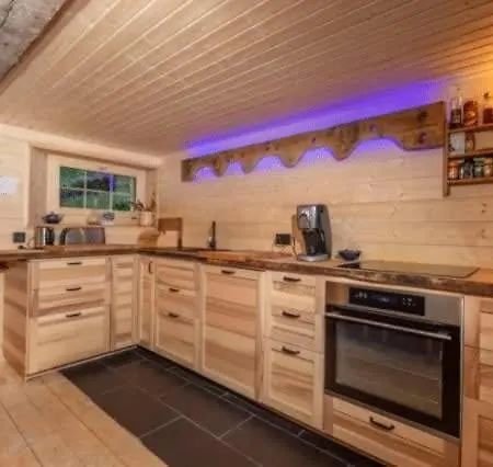 Alps For Big Group With Sauna Yoga Terrace Rossinière